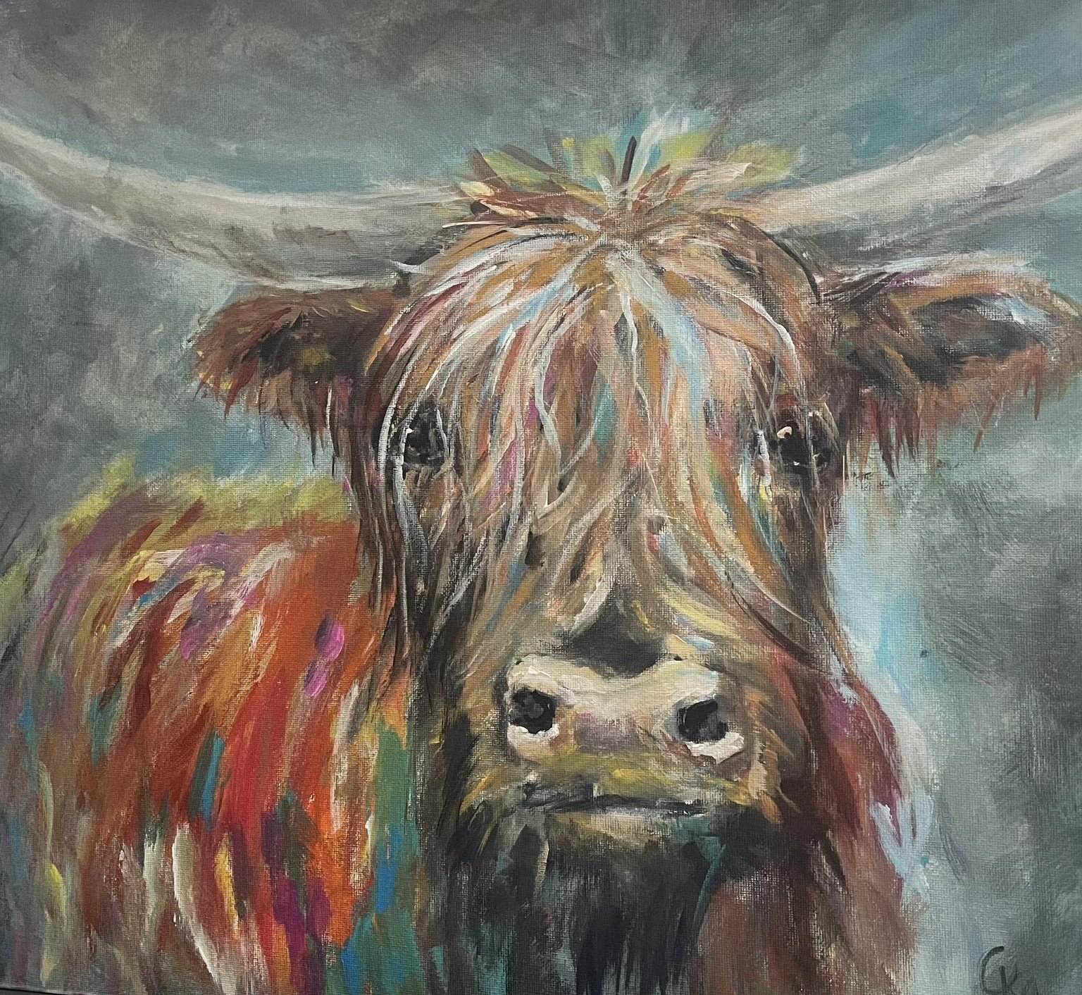 Dathail the Highland Cow